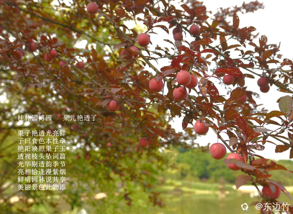 95_副本.jpg