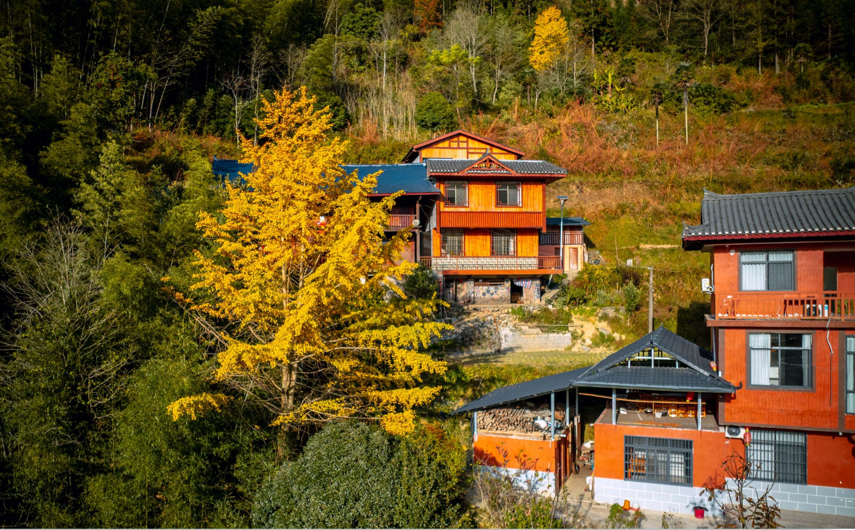 深秋资源斑斓色