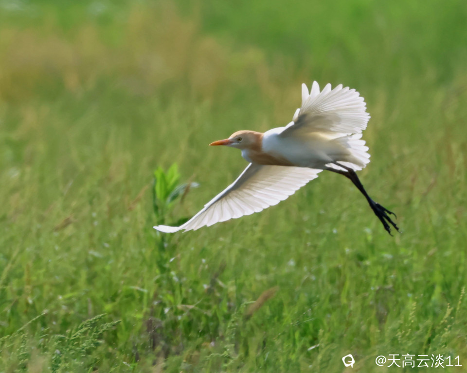 5D2A5810_副本.jpg
