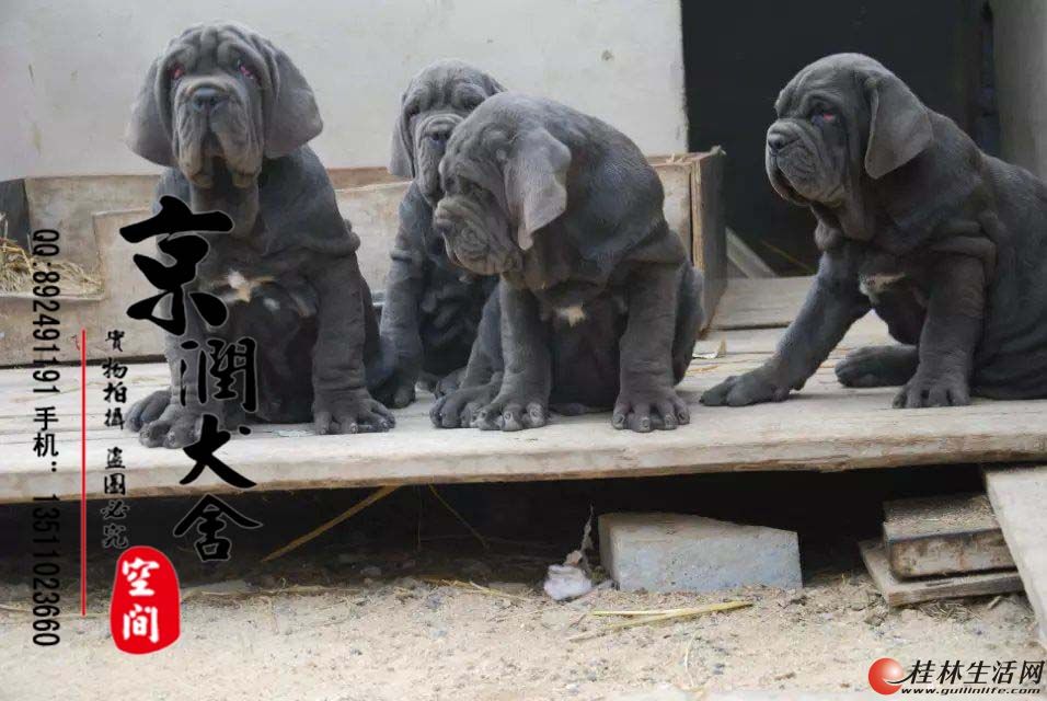 �����������ֵ�Ŧ������С����