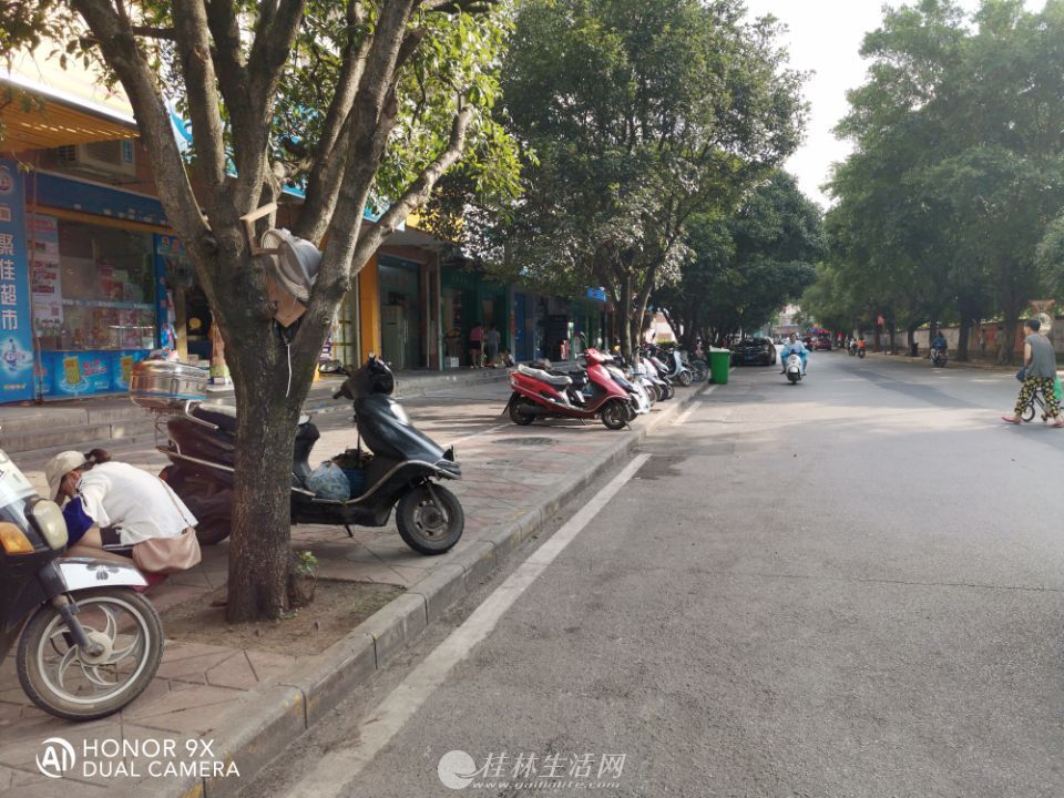 ���Ǳ�·���޻�԰���ſڸ��� ����Լ���г��� ����ȶ�