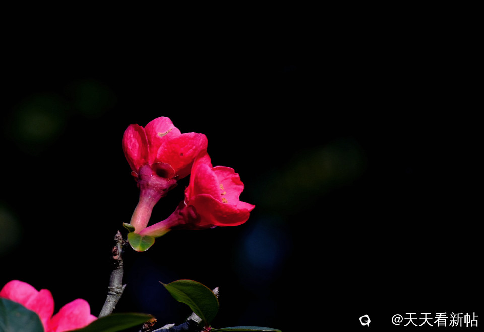 DSCF2277_副本.jpg