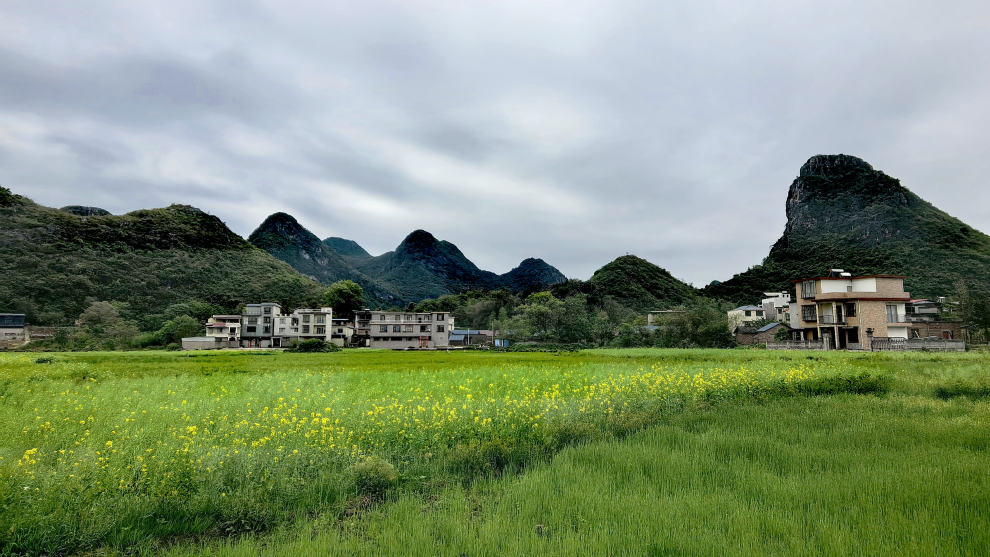 漫游桂林水南村