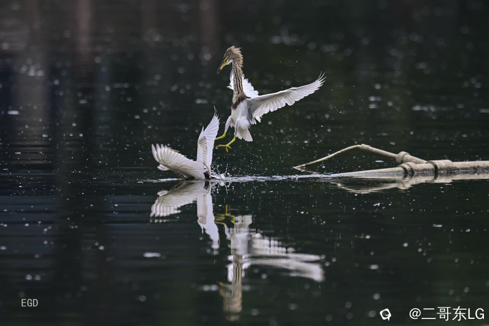 你瞅啥瞅你咋地 (6).jpg