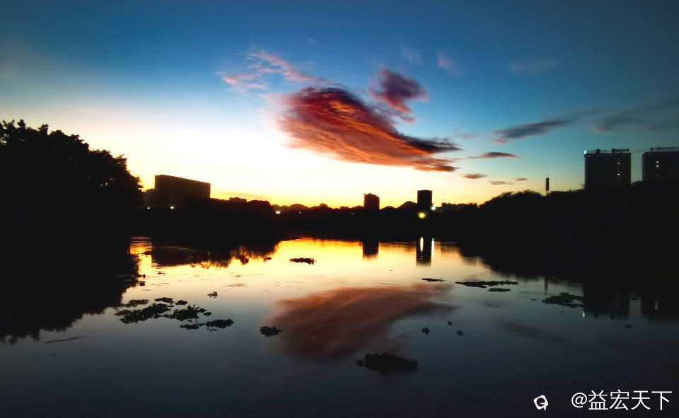 鱼跃水天