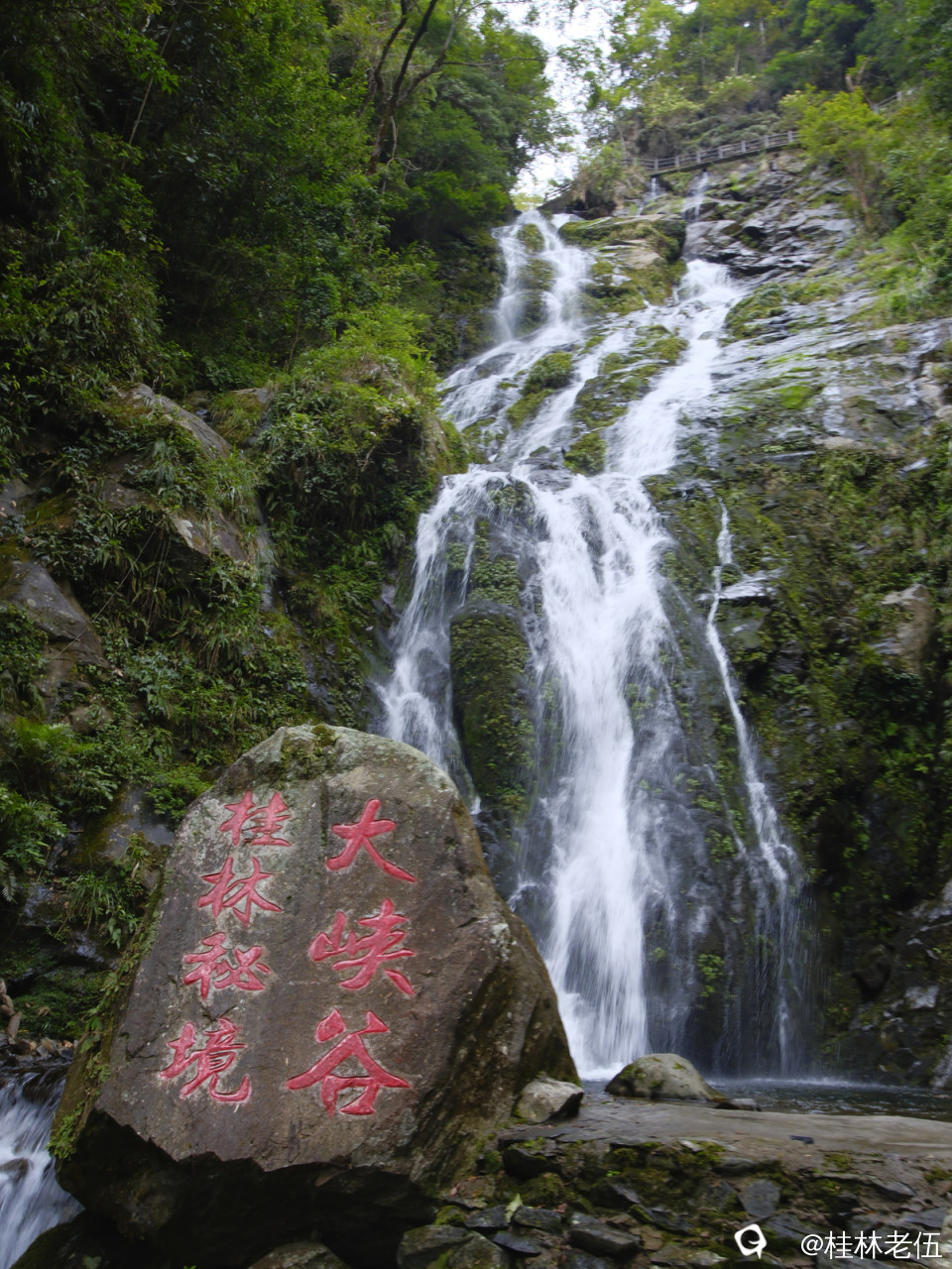 _DSF0658_副本.jpg
