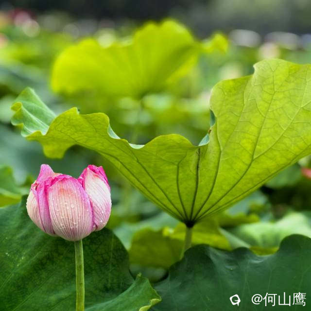 add3bc93-82de-8ebf-8bec-be661c21f939.jpg