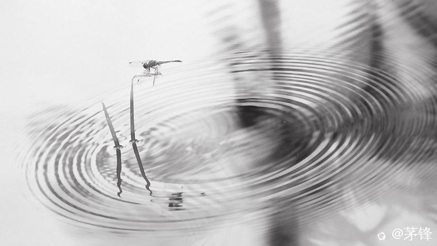 3-DSCF8527-3.jpg