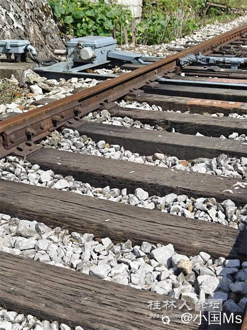 IMG20240602094003.jpg