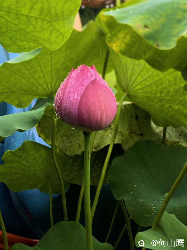 3d09af4f-f7d2-4394-501c-3df60aeb69c7.jpg