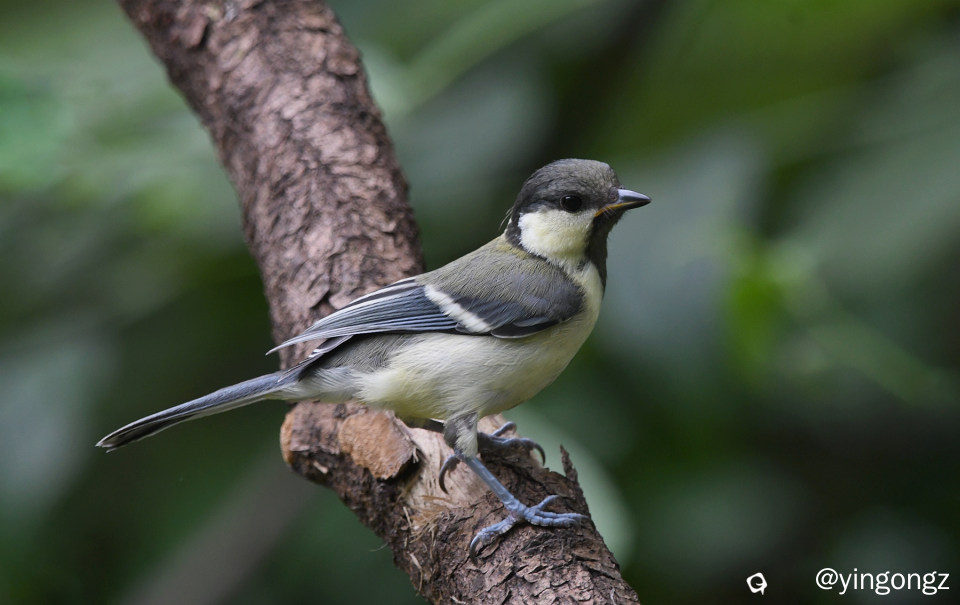 DSC_2768_副本-1.jpg