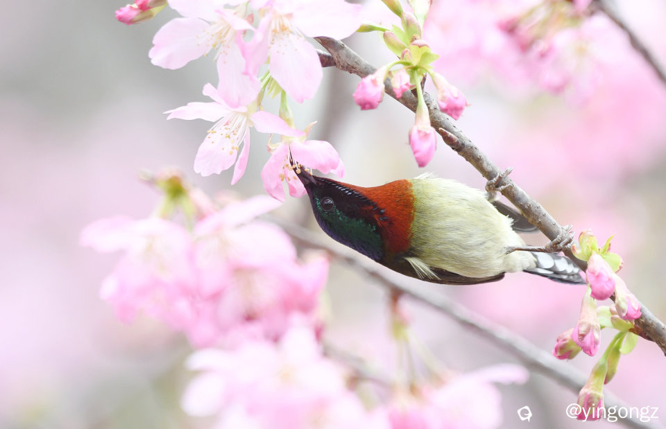 DSC_4876_副本.jpg