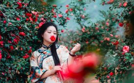 大概是桂林最大茶花園