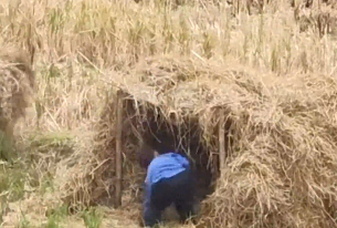 欲買桂花同載酒，終不似少年游！廣西男子偶遇孩子們?cè)谔镆袄锎罱孛芑兀【W(wǎng)友：讓我躺一會(huì)好嘛，真的好懷念