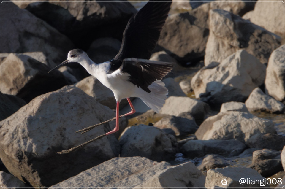 DSC05101 - 副本.JPG