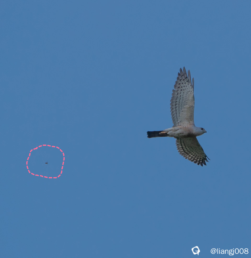 DSC00853_副本.jpg