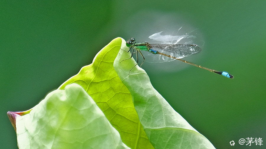DSCF6922.jpg