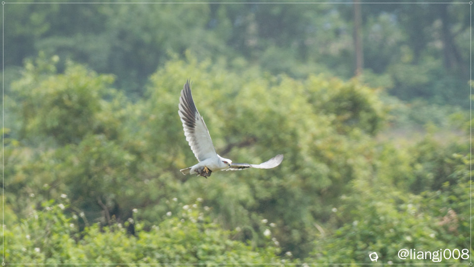 DSC07269_副本 (2).jpg