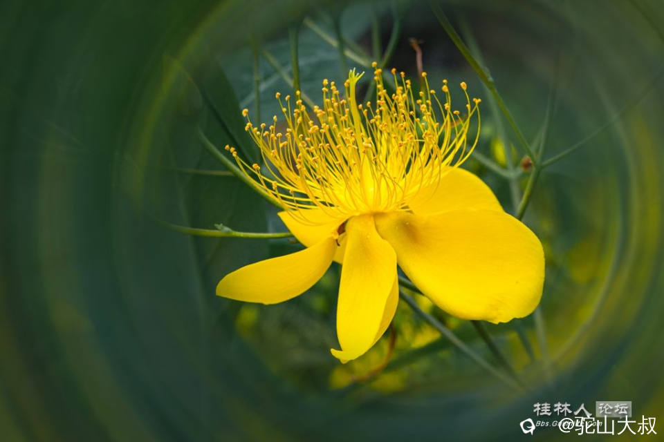 DSC08232-0 - 副本.jpg