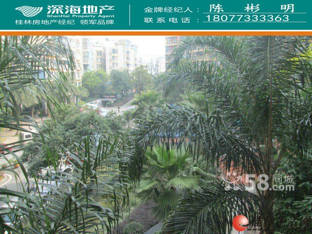 C�����³���ˮ��������137�O ����100��