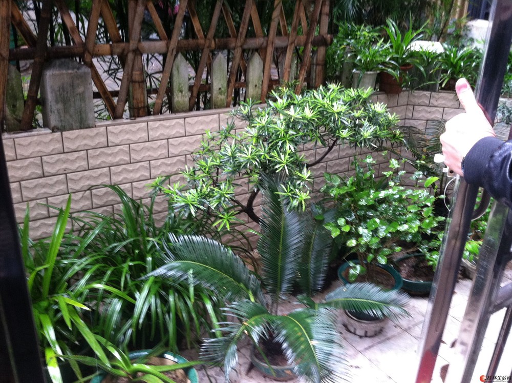���޼��� ��5 Ψһ ������ 1¥��ʽ ��װ��125ƽ��