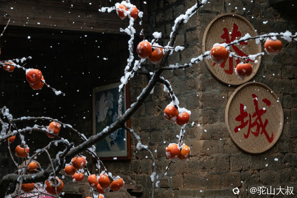 DSC09877-0 - 副本.jpg