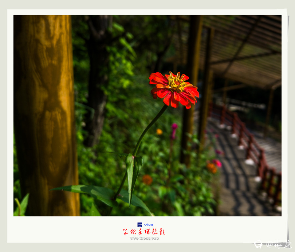 IMG_20240810_091407 拷贝_副本.jpg