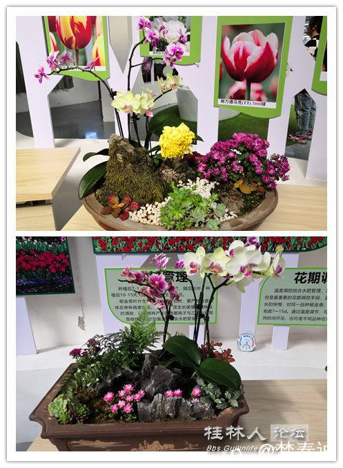 initpintu_副本2.jpg