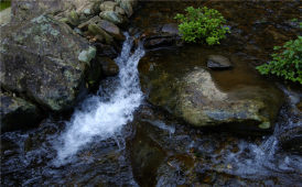 小溪水潺潺而流