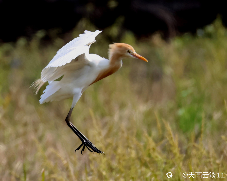 5D2A5752_副本.jpg