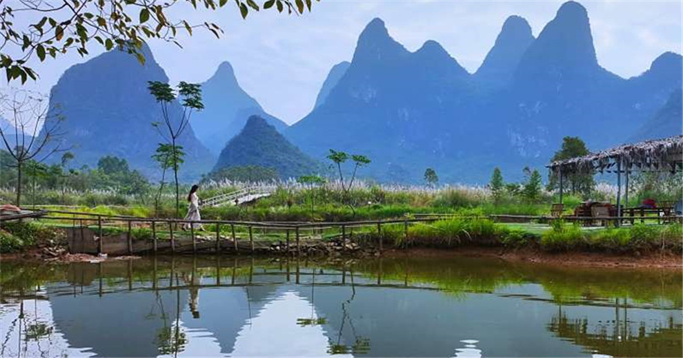 芒草、咖啡与天空之镜