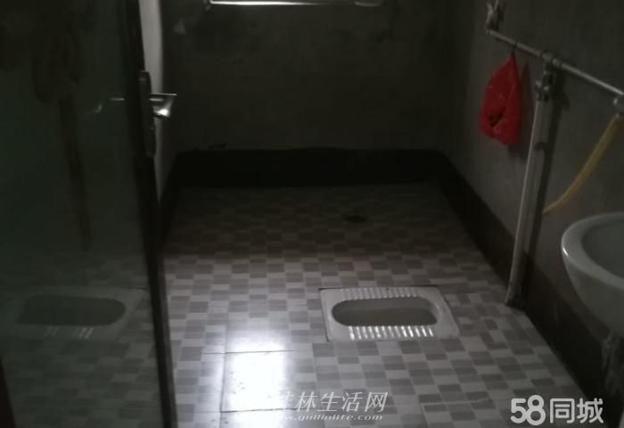 �ٹ���봺��ѧ��������