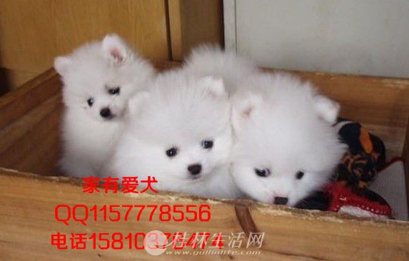 ����������۲�����Ȯ   ���������岩������Ǯ