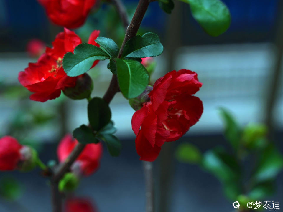 DSC02380_副本.jpg