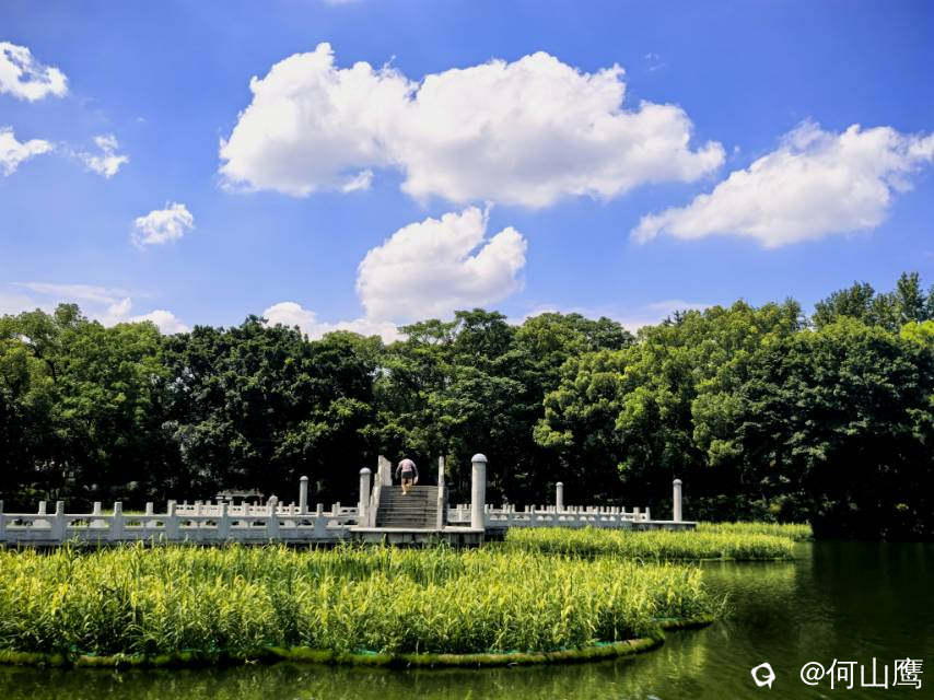 16ce4cbc-bb33-4cd4-f4a3-04062d3e6640.jpg