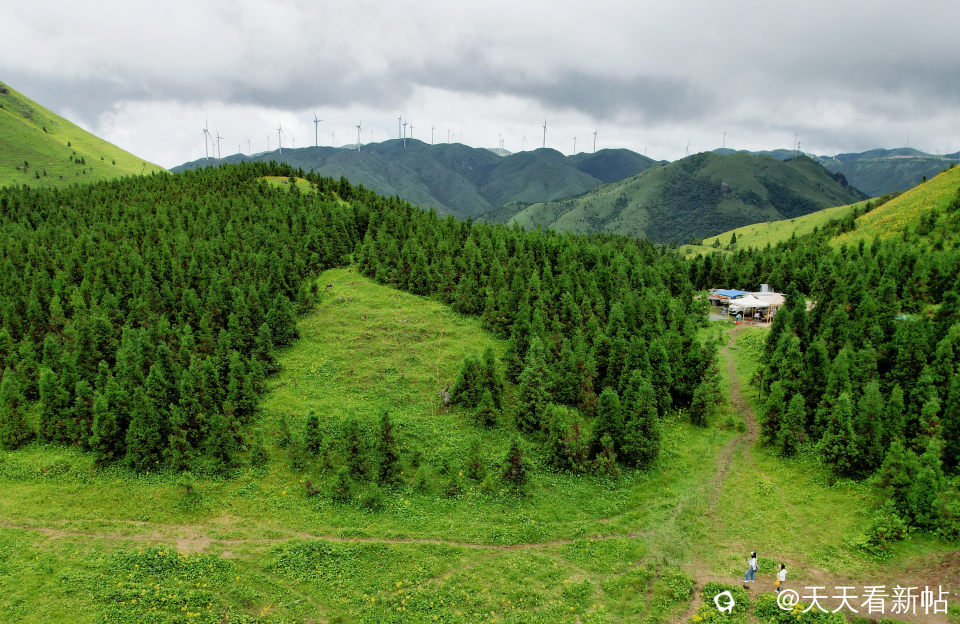 DJI_0573_副本.jpg