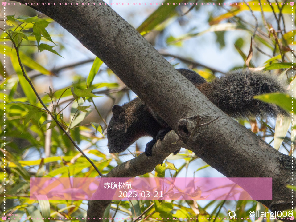 DSC08885_副本.jpg