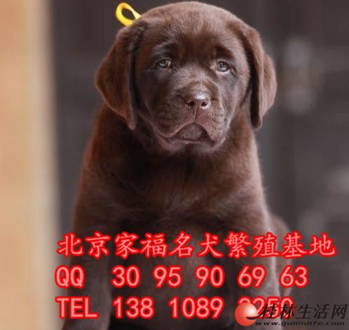 ������������Ȯ����Ǯ ������������������Ȯ ��Ǽ���������