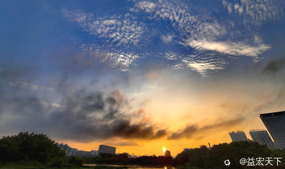 IMG_20240904_064217_edit_80899614665780.jpg