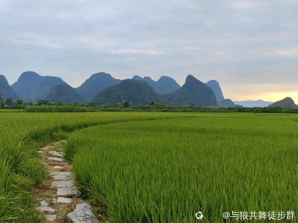 截图202406060002406836.png