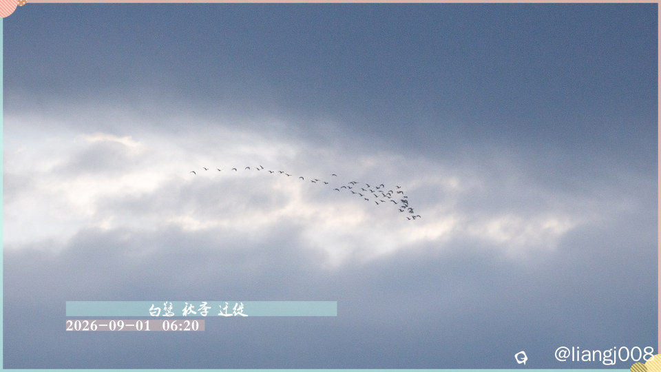 DSC00129.jpg