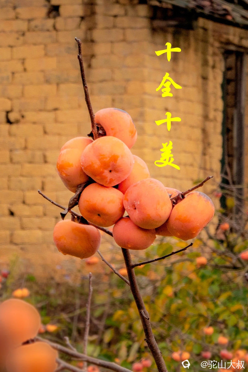 DSC04467-0_副本.jpg