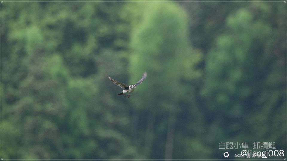 DSC00293_副本.jpg