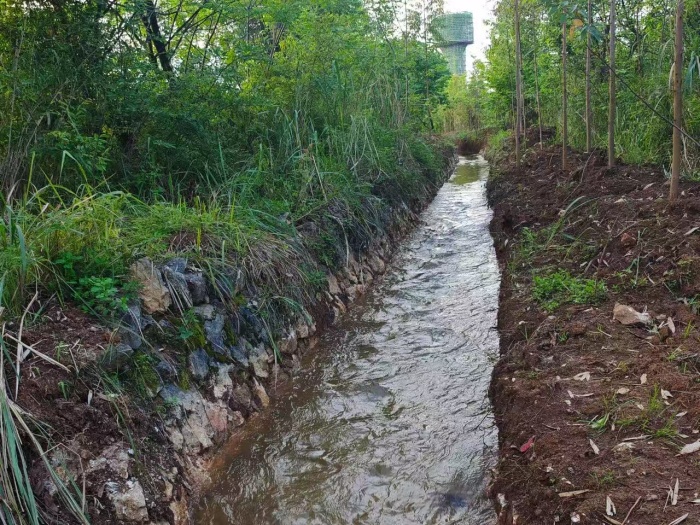 桂林市七星区朝阳乡全线疏通东干渠龙门支渠