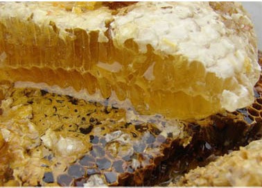 ���ַ���.���ϰִӳ����ϼ���̽����˳���30�����۹������������ۣ���������..!!