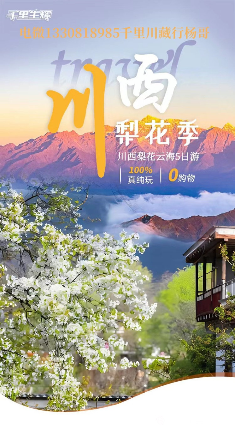 梨花2.jpg