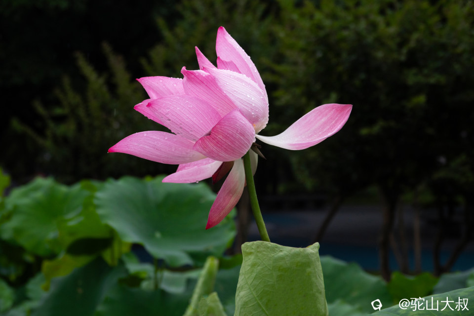 DSC03944-0.jpg
