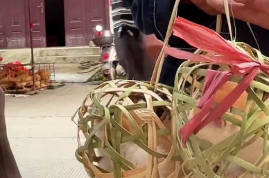 广西女生和爷爷一起上街去卖小猫咪，笼子上还插了艾叶为了给猫猫驱蚊！网友：我的猫也是这样来到家里的