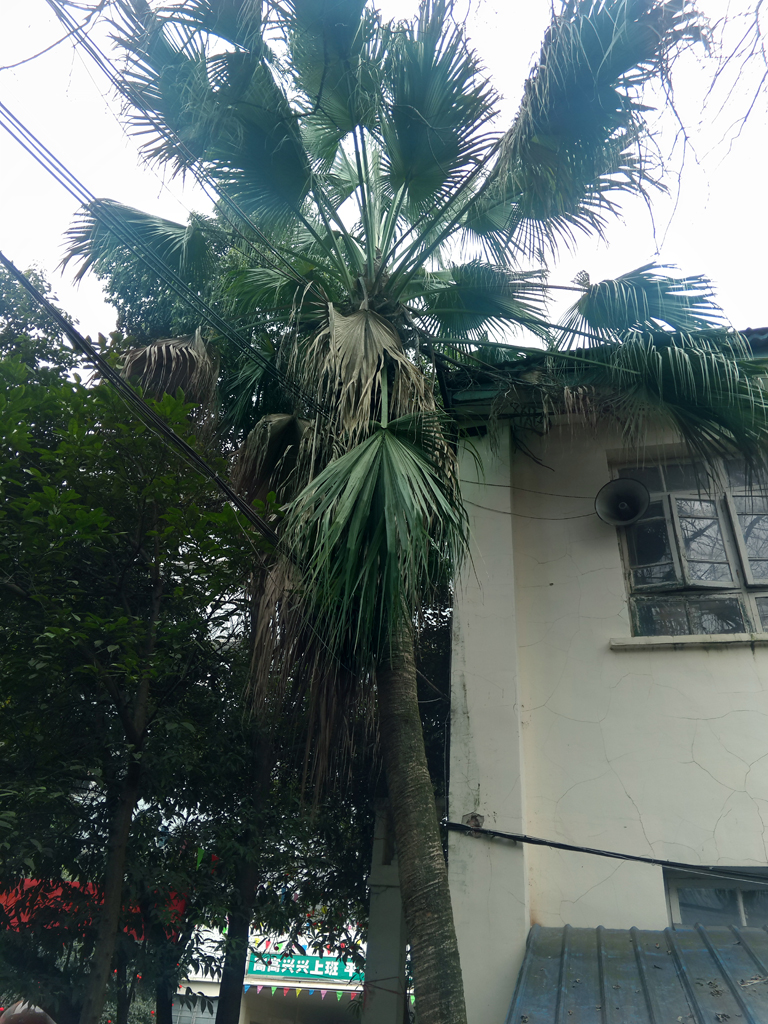 �ͼ�ת�ö������ , �������뾡����ϵ��
