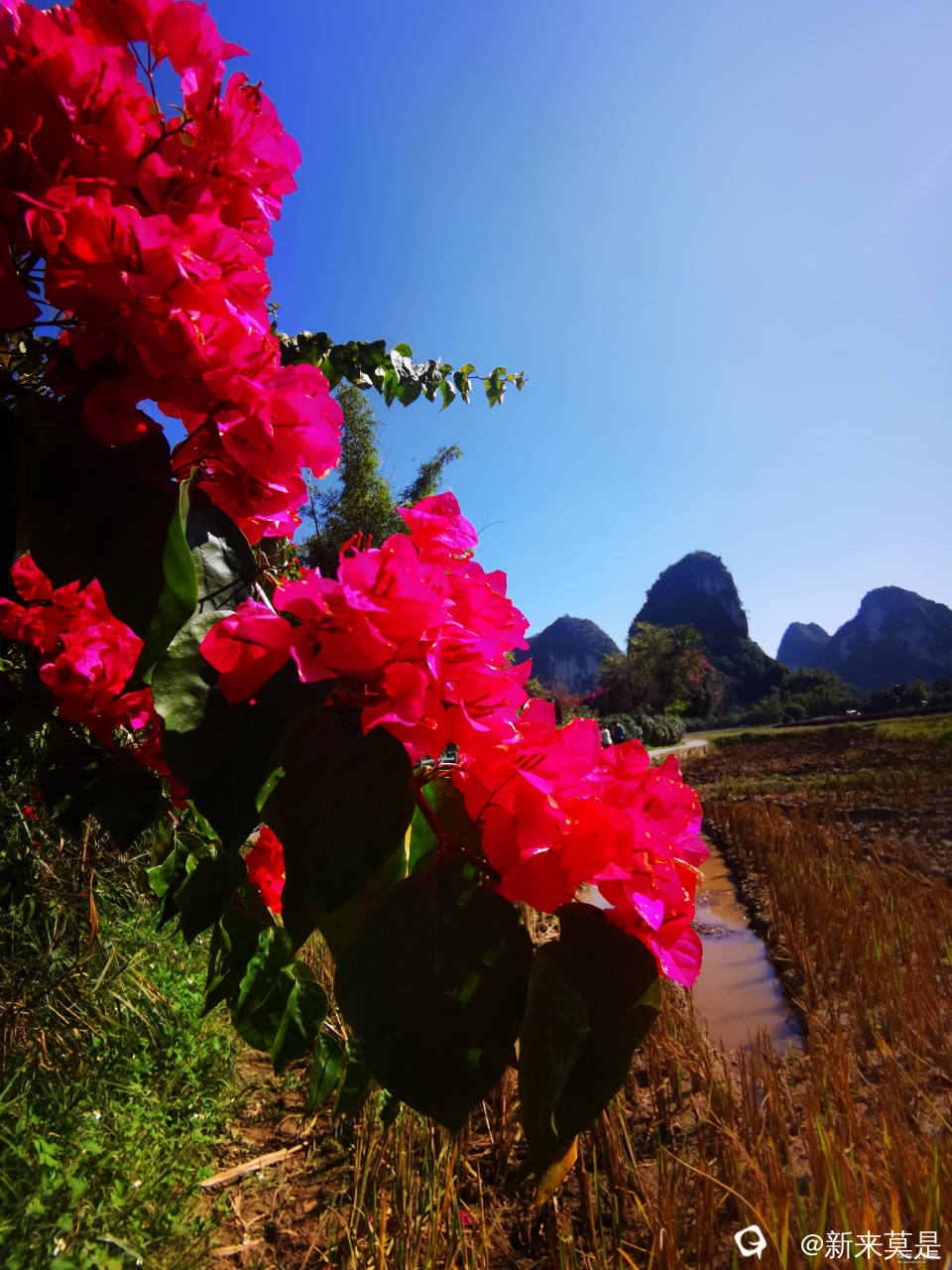 v2-56e9b7e7ca4abe5098f8ab185de64118_r.jpg